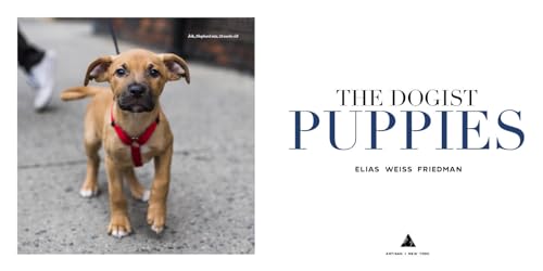 The Dogist Puppies