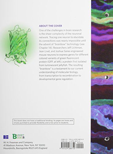 Molecular Biology Principles And Practice