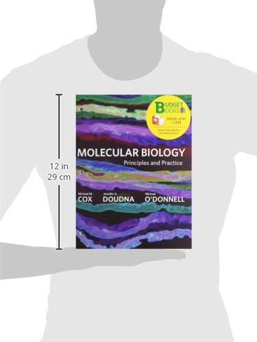 Molecular Biology Principles And Practice