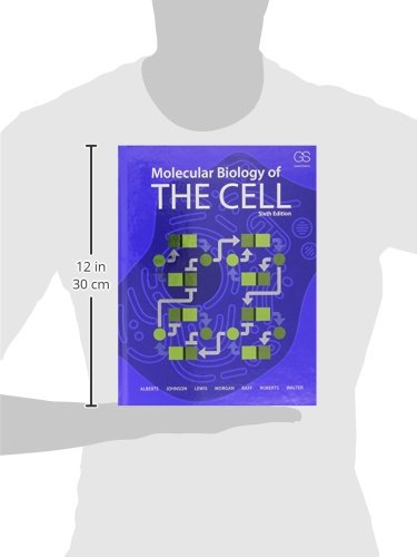 Molecular Biology Of The Cell