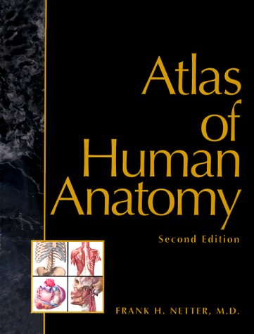 Atlas Of Human Anatomy