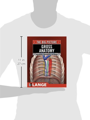 Gross Anatomy The Big Picture