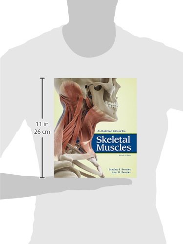 An Illustrated Atlas Of The Skeletal Muscles