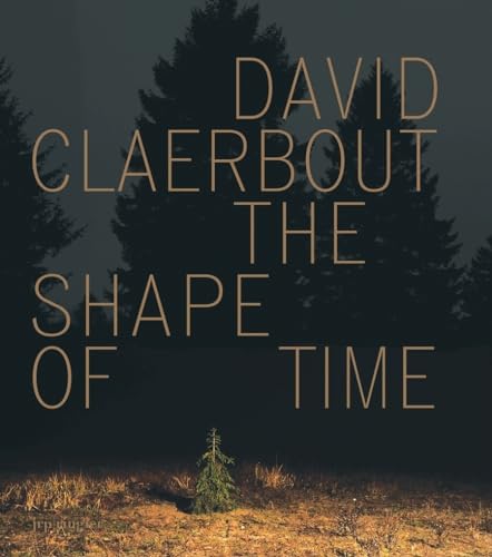 David Claerbout The Shape Of Time