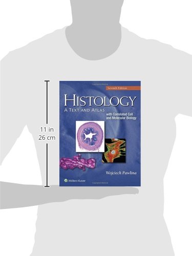 Histology A Text And Atlas With Correlated Cell And Molecular Biology