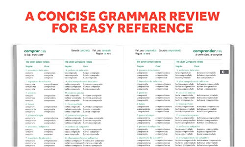 501 Spanish Verbs