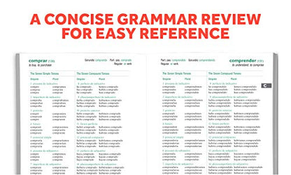 501 Spanish Verbs