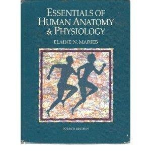 Essentials Of Human Anatomy & Physiology