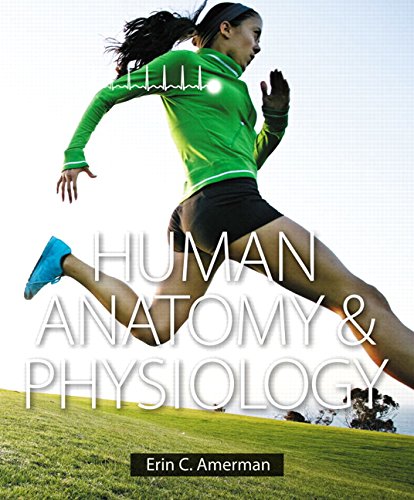 Human Anatomy & Physiology