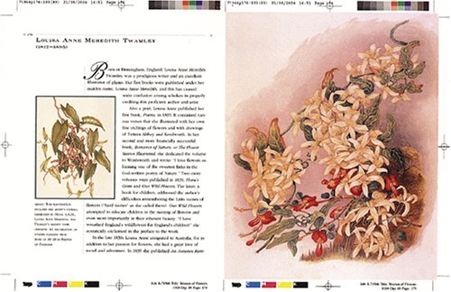 Women Of Flowers A Tribute To Victorian Women Illustrators