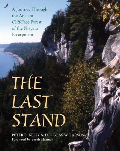 The Last Stand A Journey Through The Ancient Cliff Face Forest Of The Niagara Escarpment