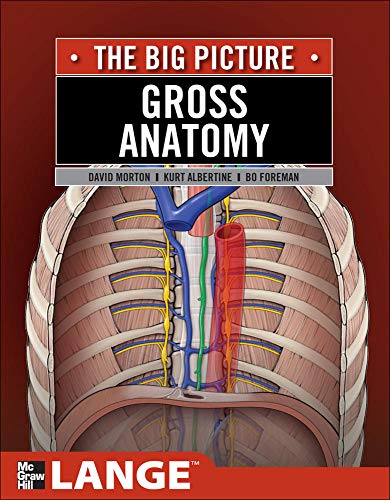 Gross Anatomy The Big Picture