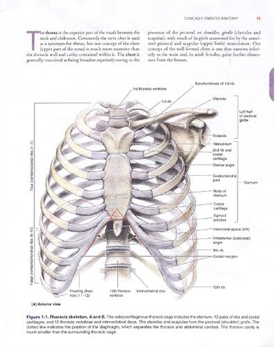 Clinically Oriented Anatomy