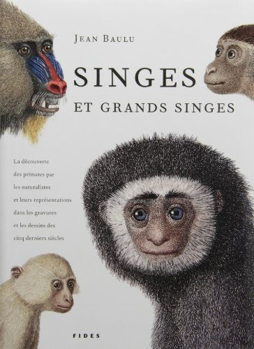 Singes Et Grands Singes [2005] [Hardcover] Jean Baulu