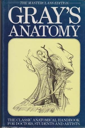 Anatomy