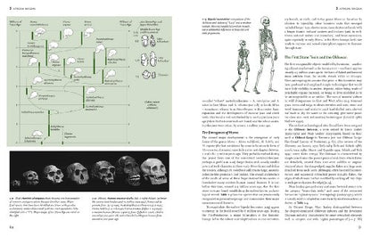 The Human Past College Edition World Prehistory & The Development Of Human Societies