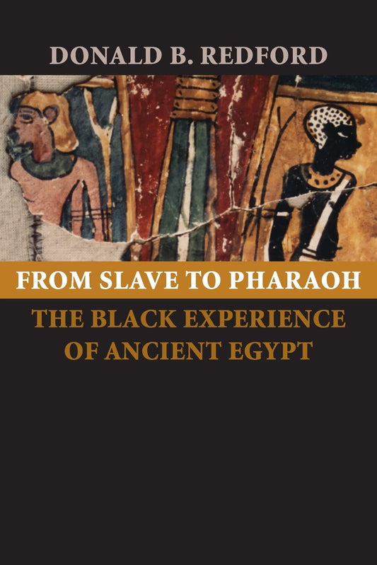 From Slave To Pharaoh The Black Experience Of Ancient Egypt