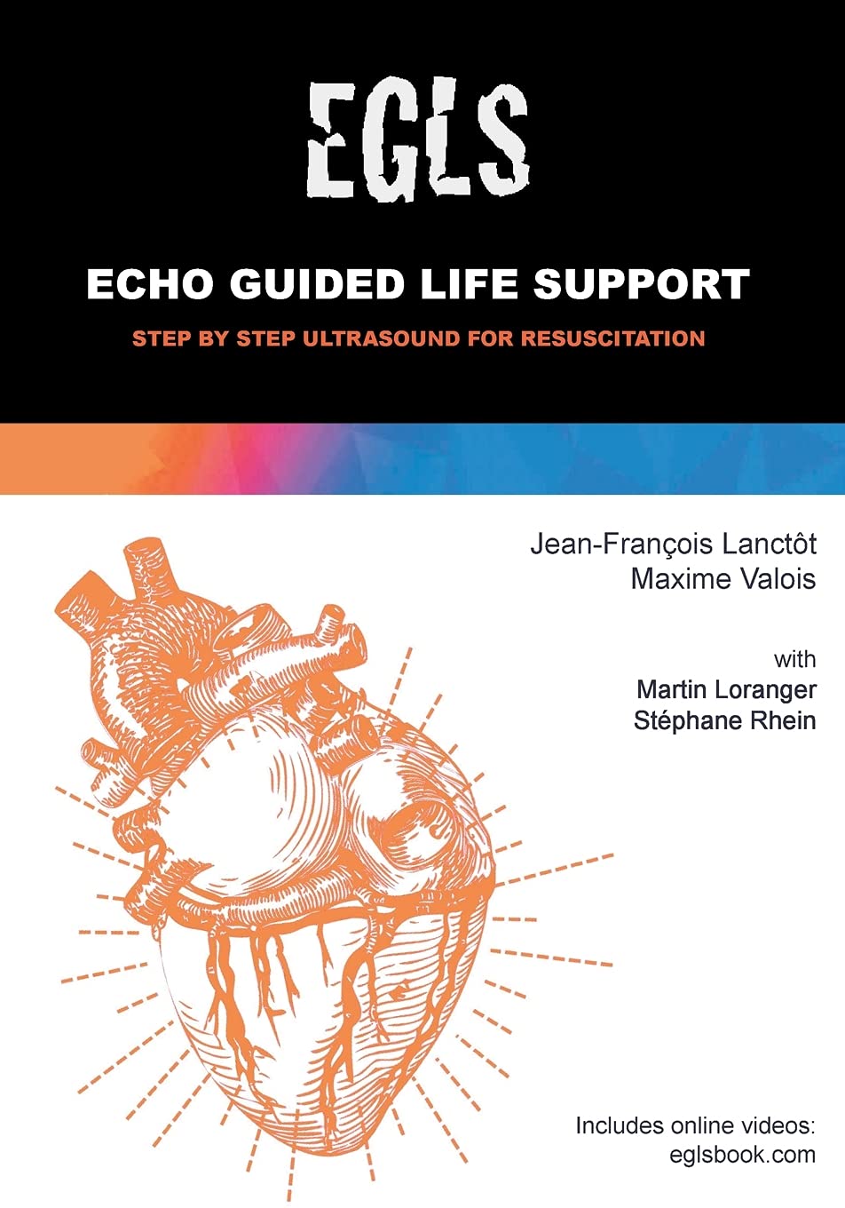 Echo Guided Life Support