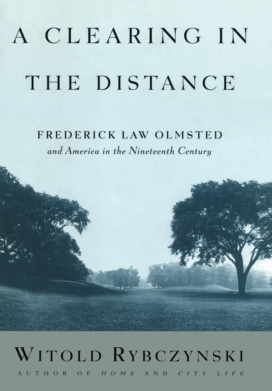 A Clearing In The Distance Frederick Law Olmsted And America In The Nineteenth Century