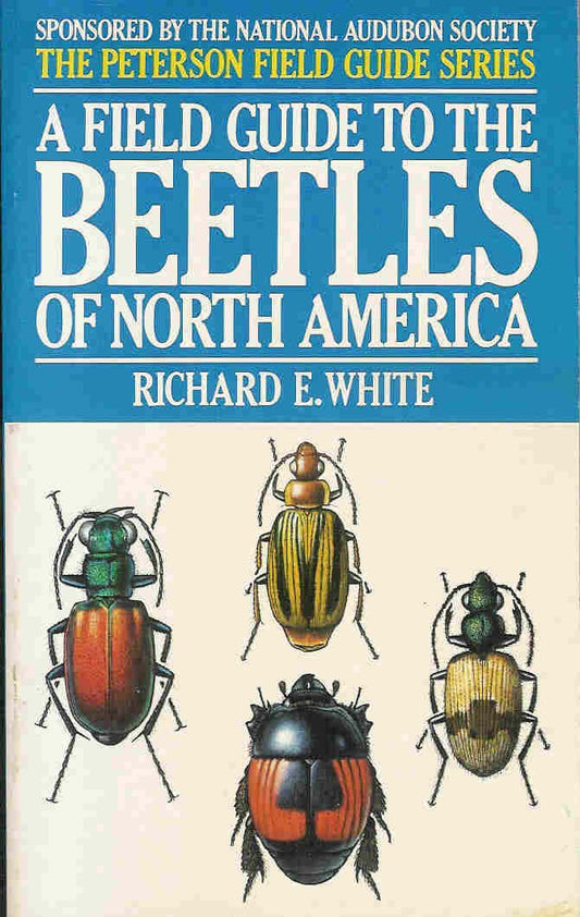 A Field Guide To The Beetles Of North America