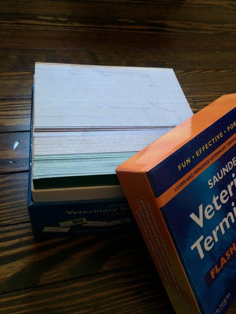 Saunders Veterinary Terminology Flash Cards