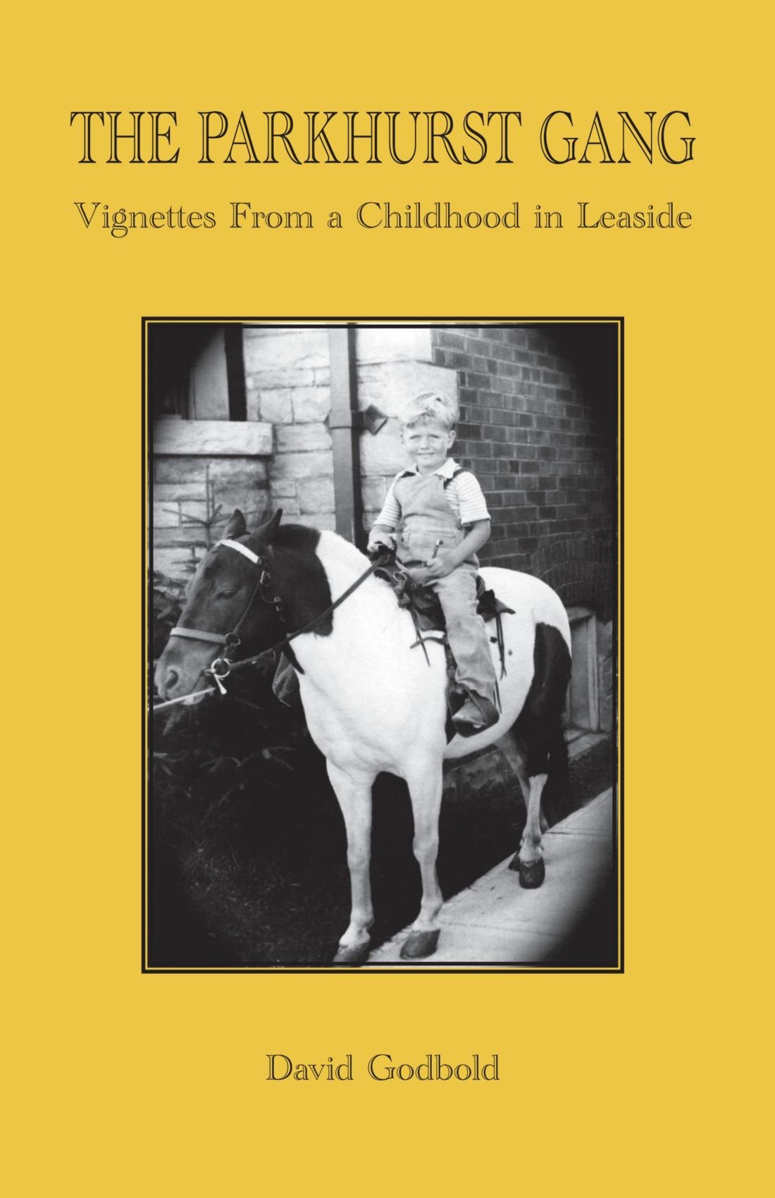 The Parkhurst Gang Vignettes From A Childhood In Leaside