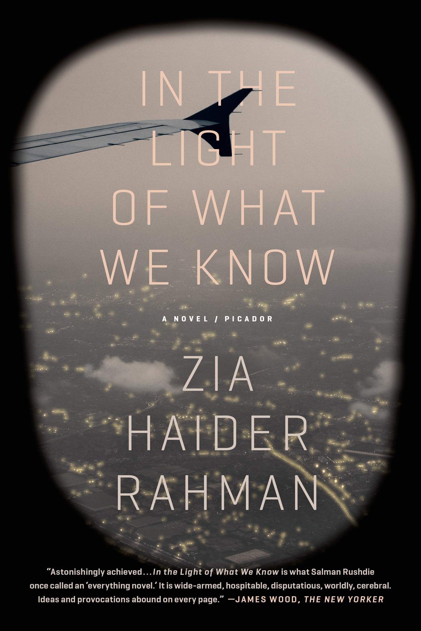 In The Light Of What We Know A Novel