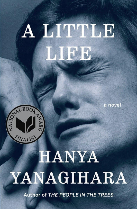 A Little Life A Novel