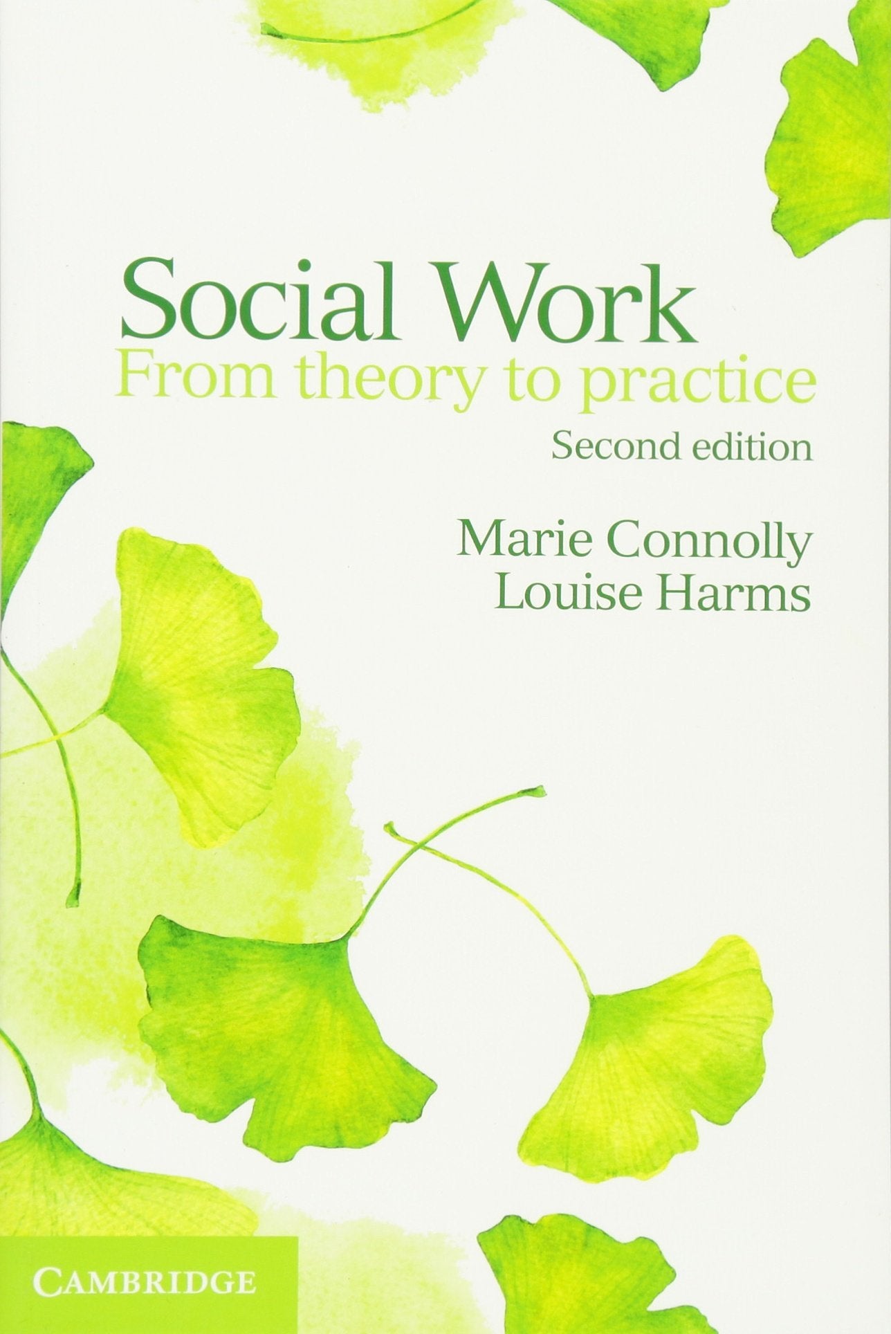 Social Work From Theory To Practice