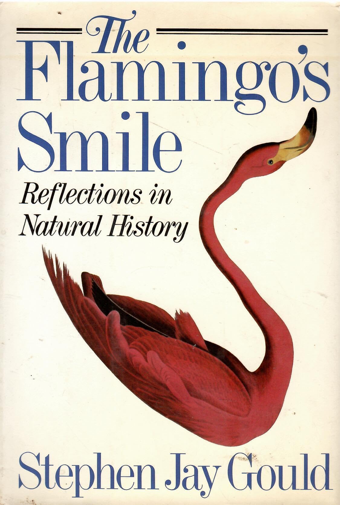 The Flamingo's Smile Reflections In Natural History