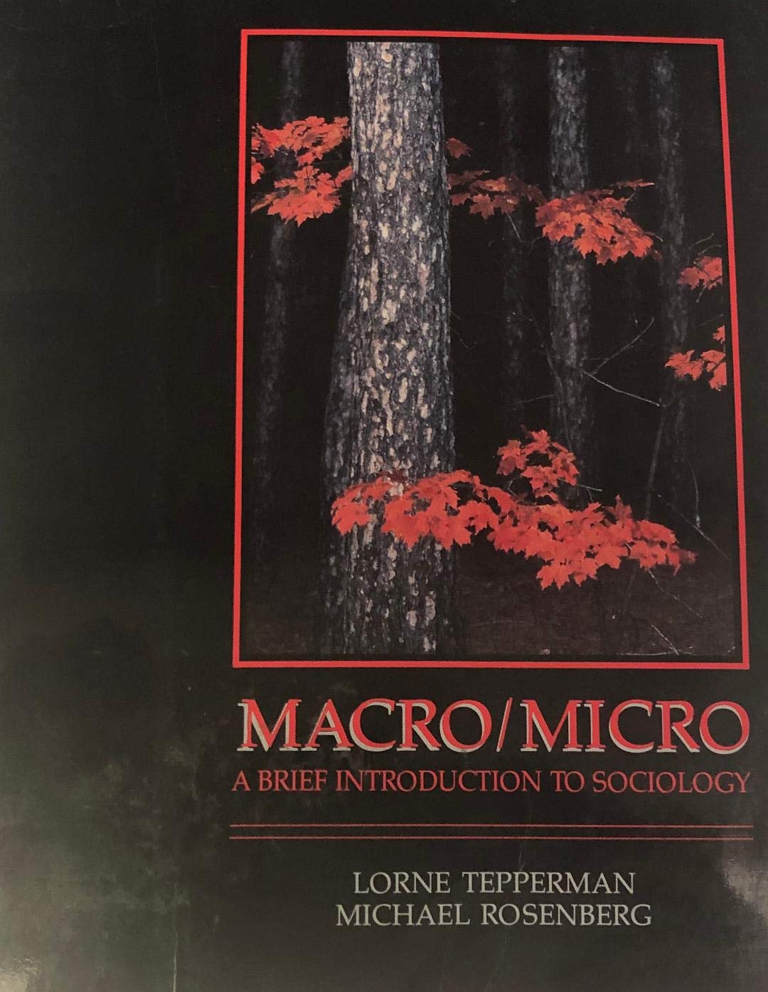 Macro/Micro A Brief Introduction To Sociology