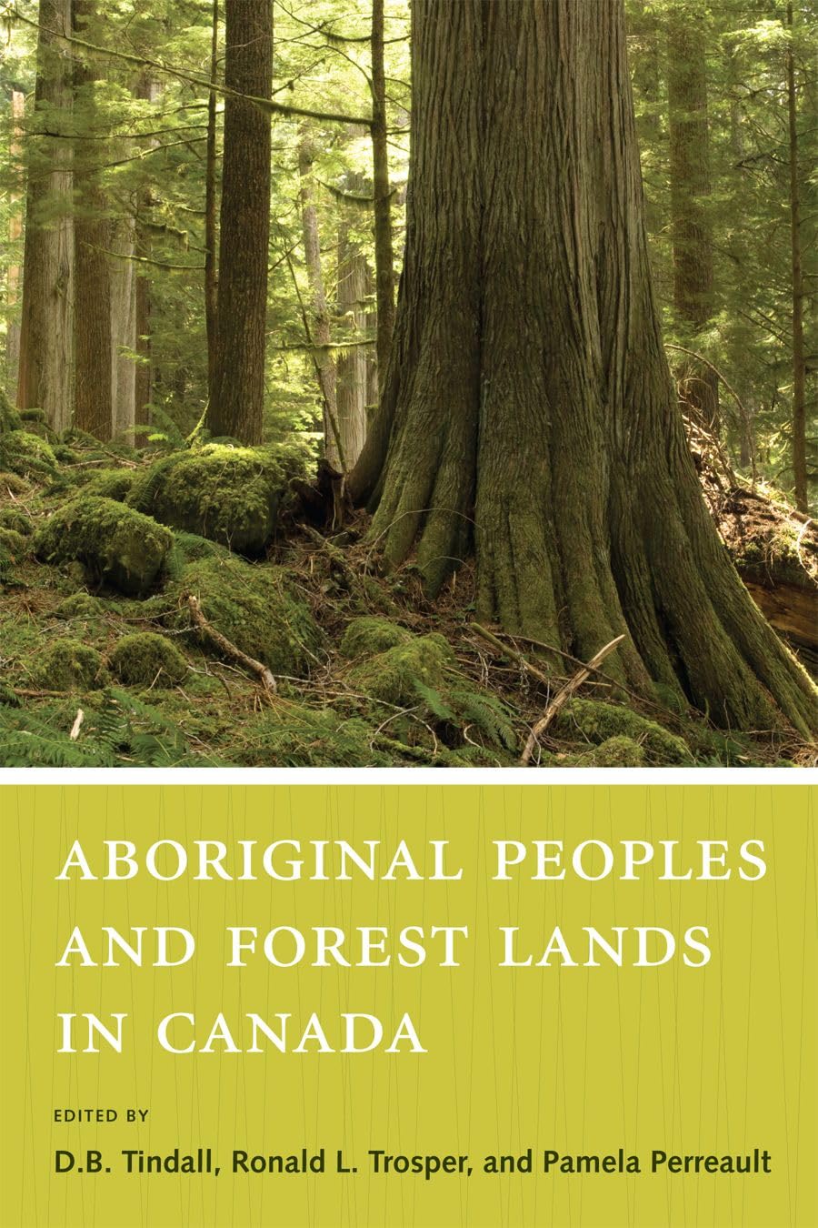 Aboriginal Peoples And Forest Lands In Canada