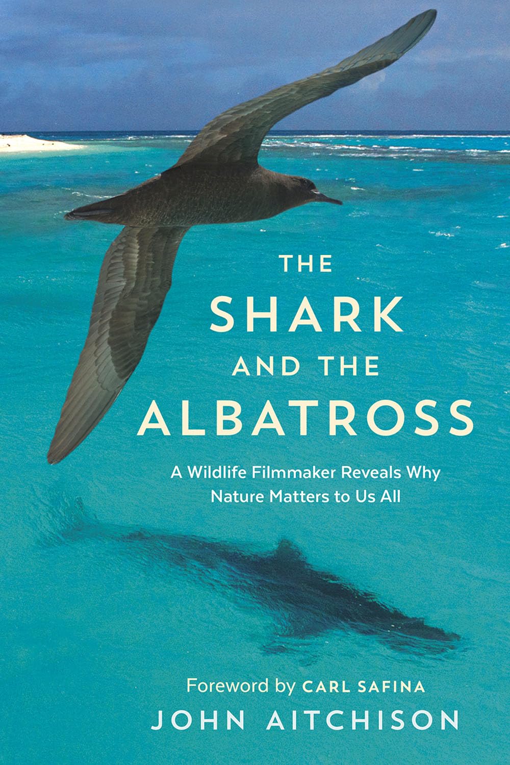 The Shark And The Albatross A Wildlife Filmmaker Reveals Why Nature Matters To Us All