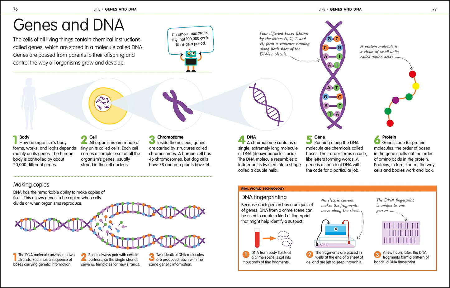 How To Be Good At Science