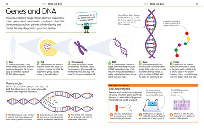 How To Be Good At Science