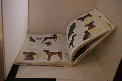 The Encyclopedia Of The Dog The Most Comprehensive Illustrated Guide To The Canine World