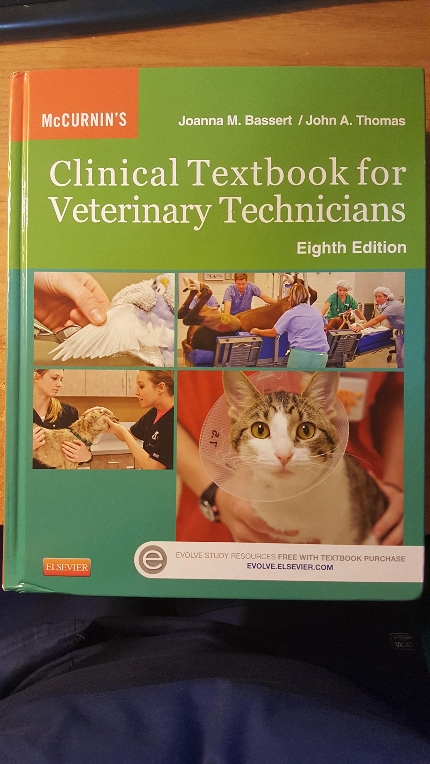 Mc Curnin's Clinical Textbook For Veterinary Technicians