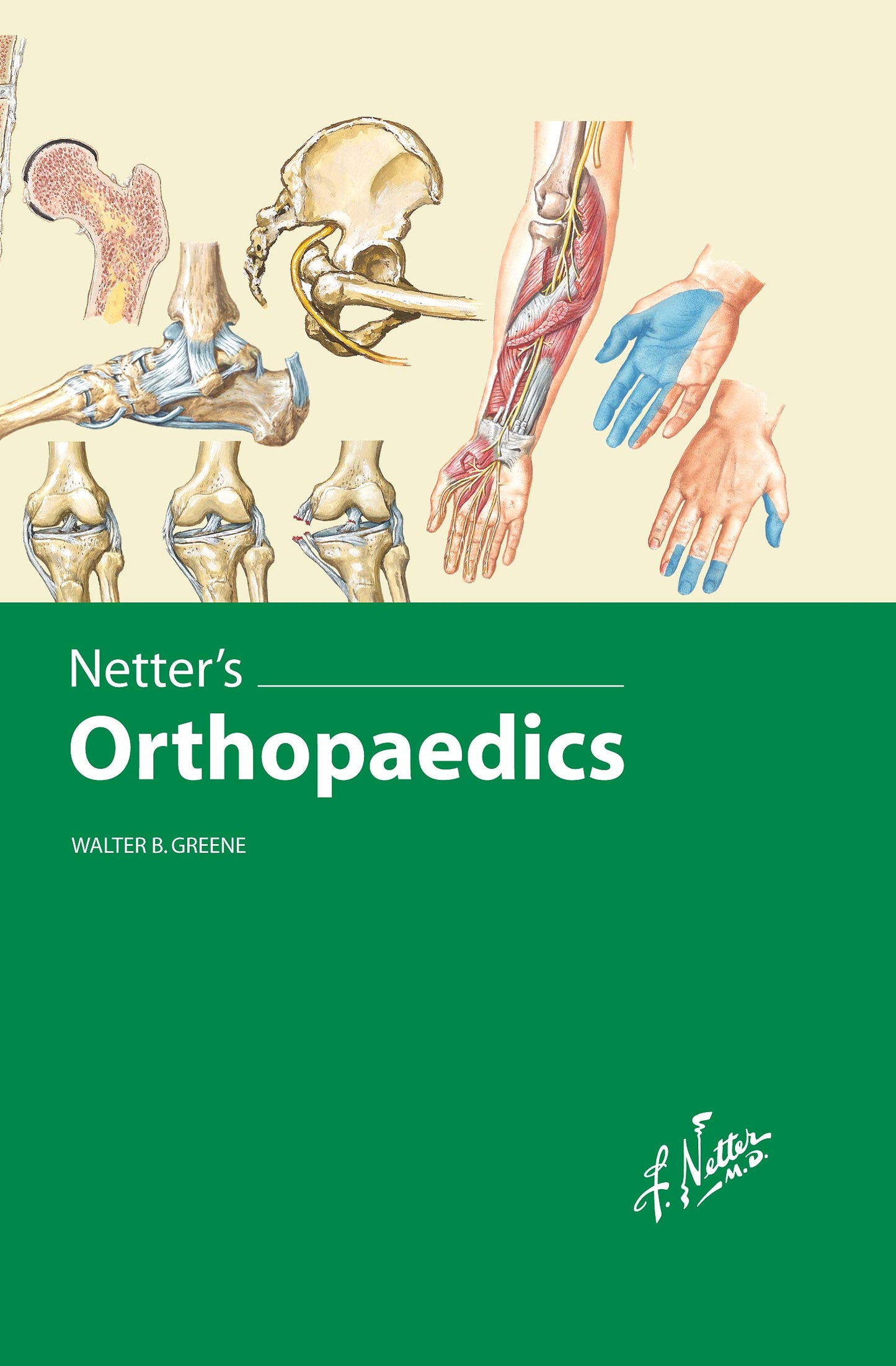 Netter's Orthopaedics