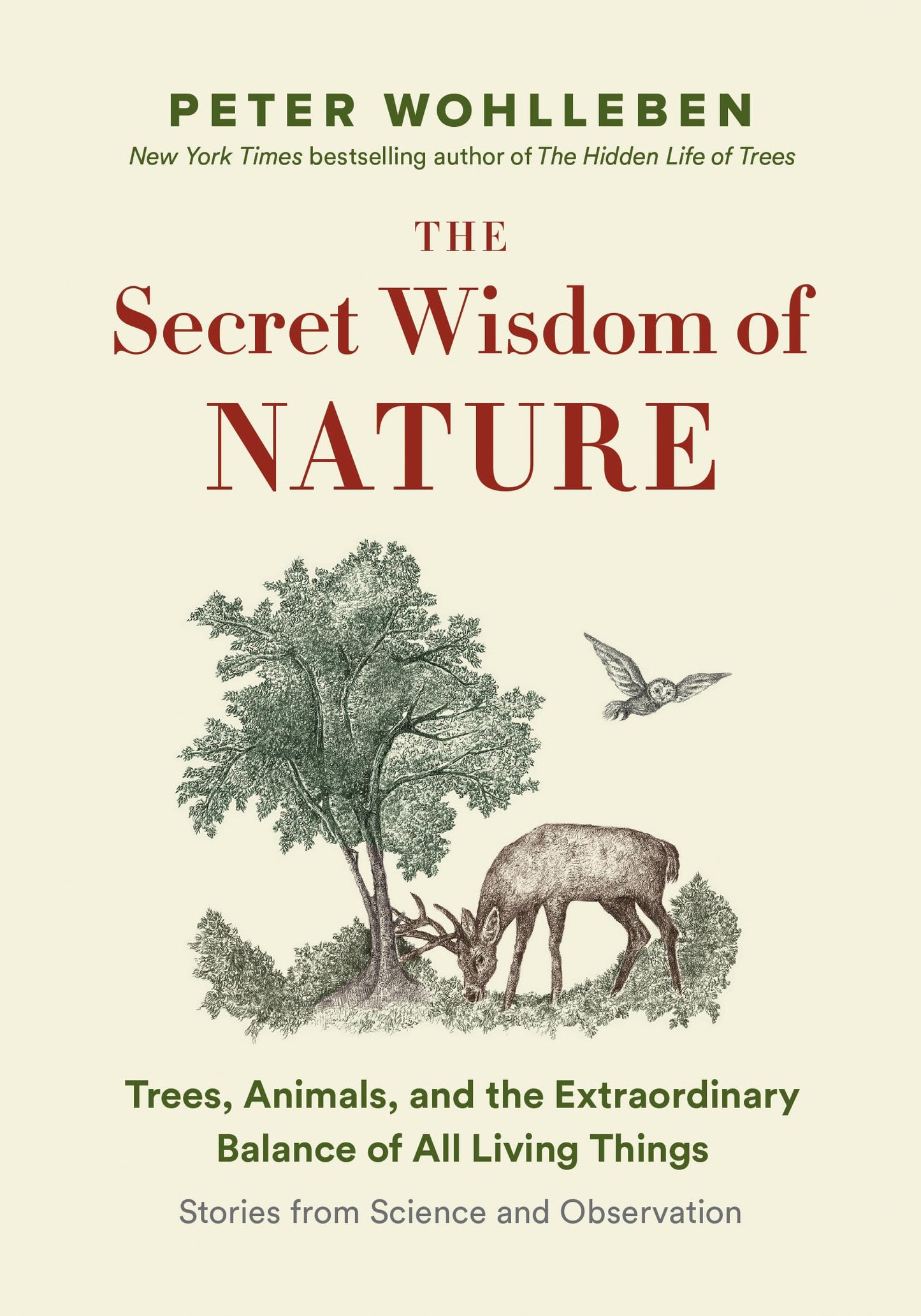 The Secret Wisdom Of Nature Trees