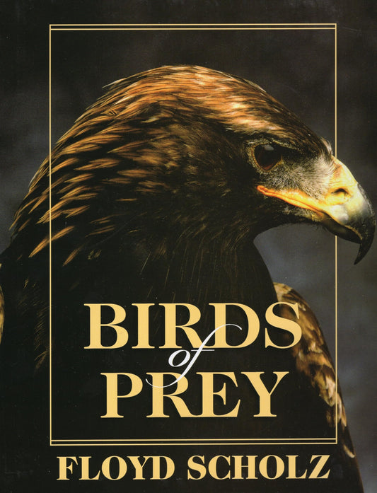 Birds Of Prey