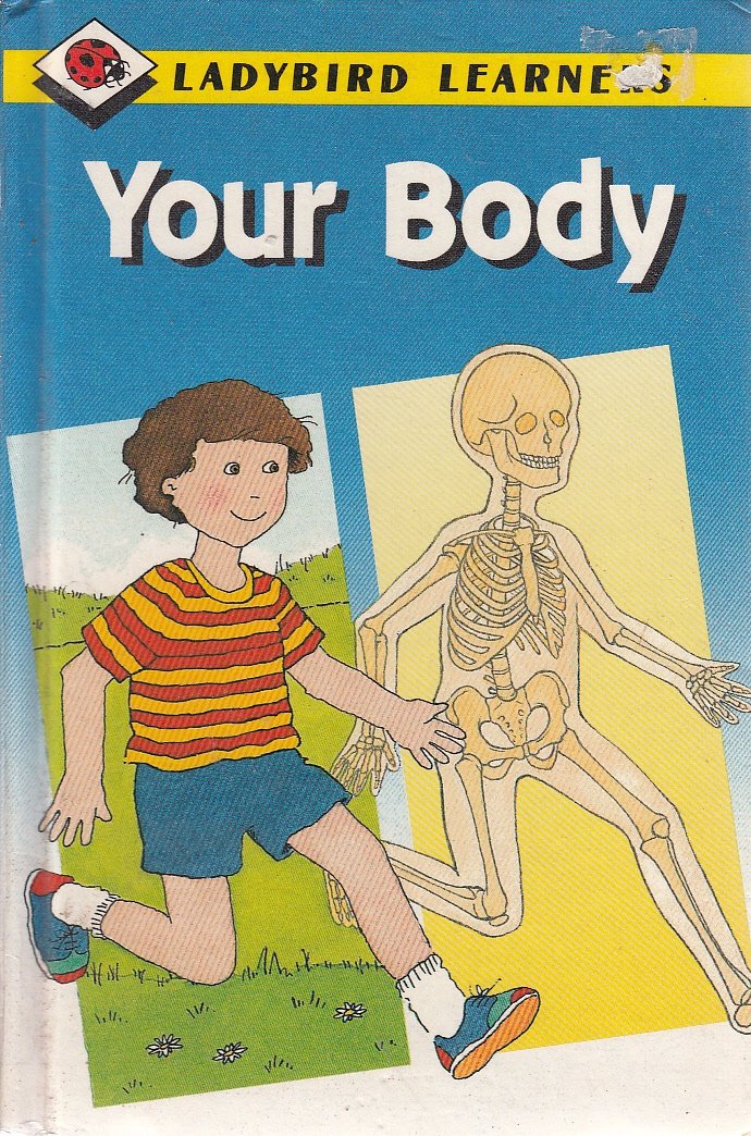 Your Body