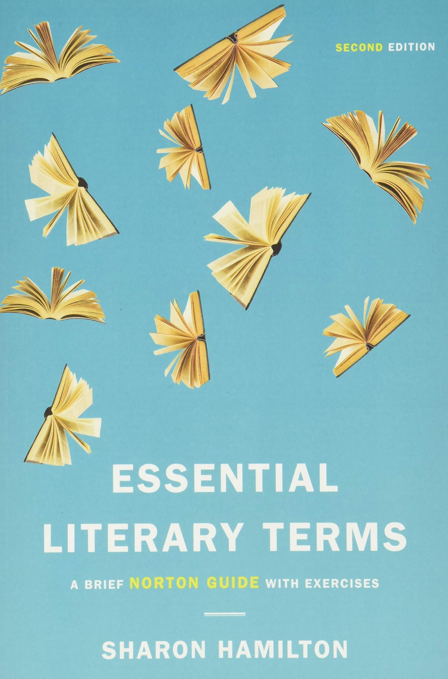 Essential Literary Terms A Brief Norton Guide With Exercises