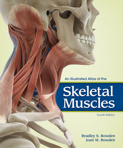 An Illustrated Atlas Of The Skeletal Muscles