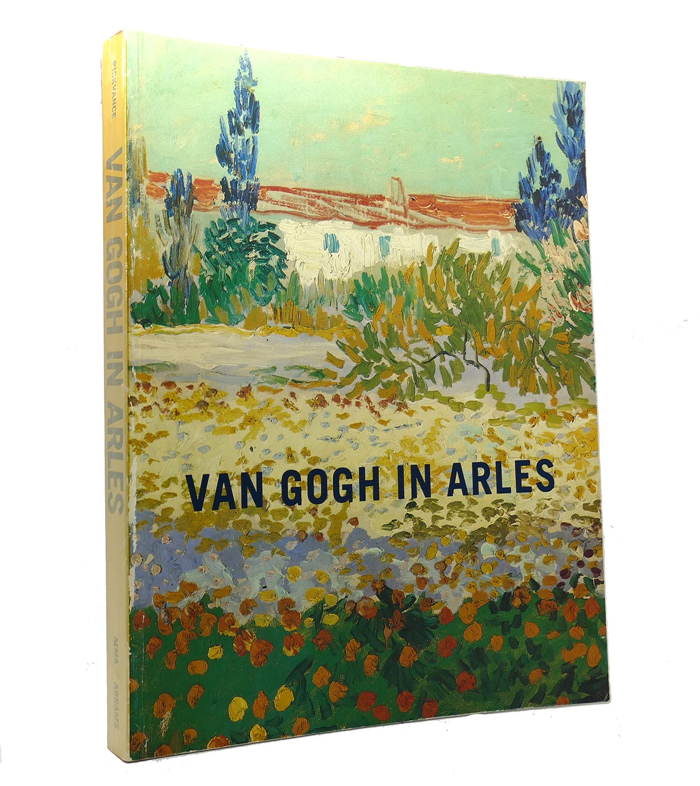 Van Gogh In Arles