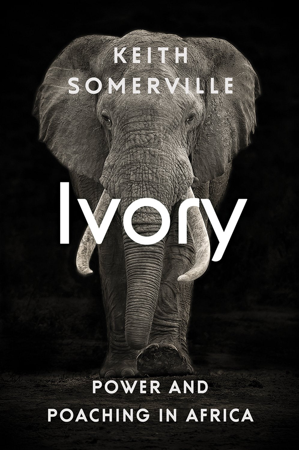 Ivory Power And Poaching In Africa