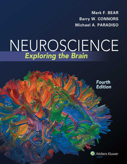 Neuroscience Exploring The Brain