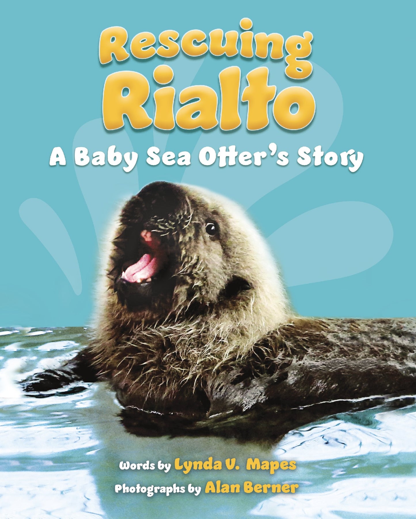 Rescuing Rialto A Baby Sea Otter's Story