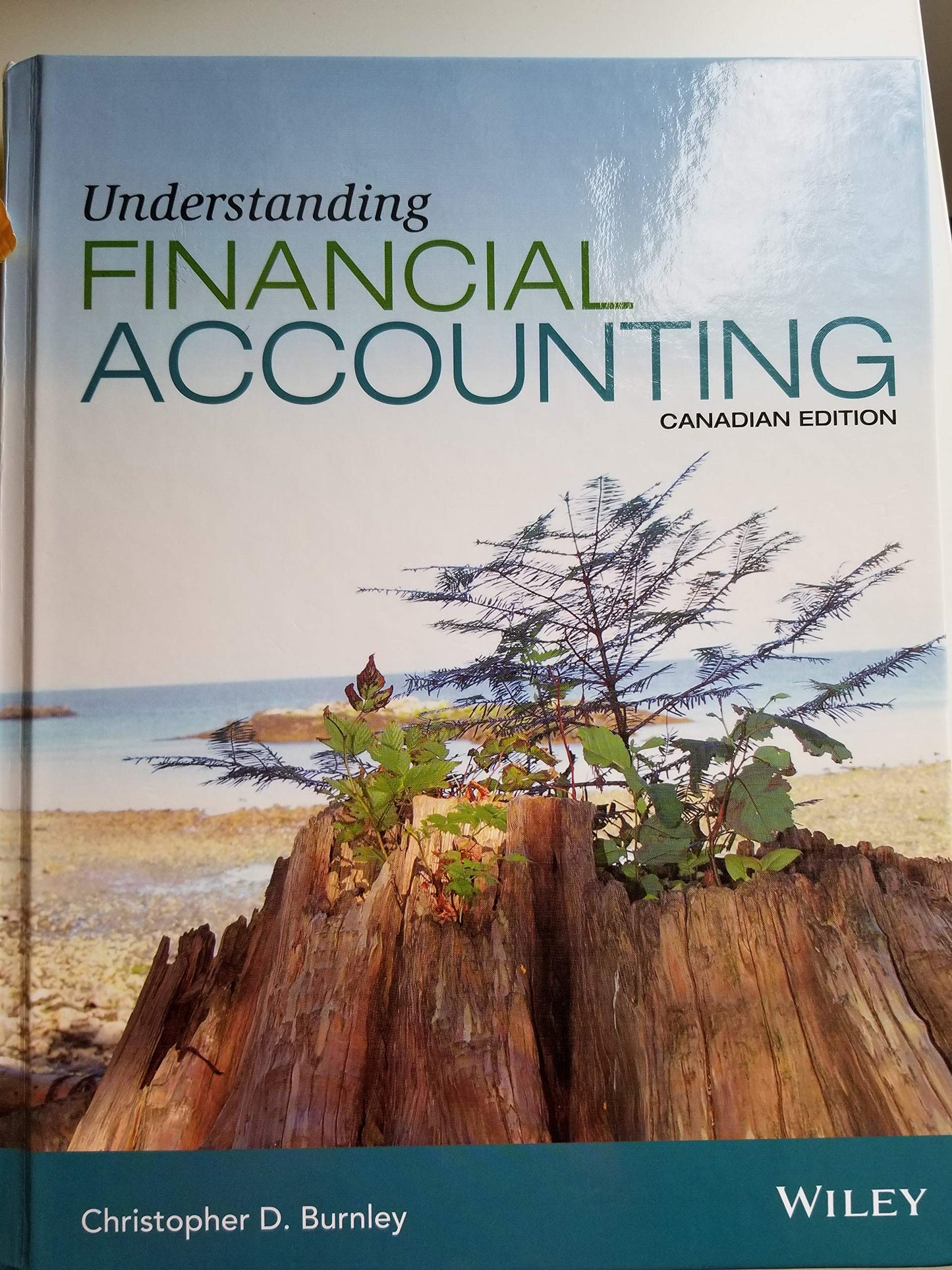 Understanding Financial Accounting