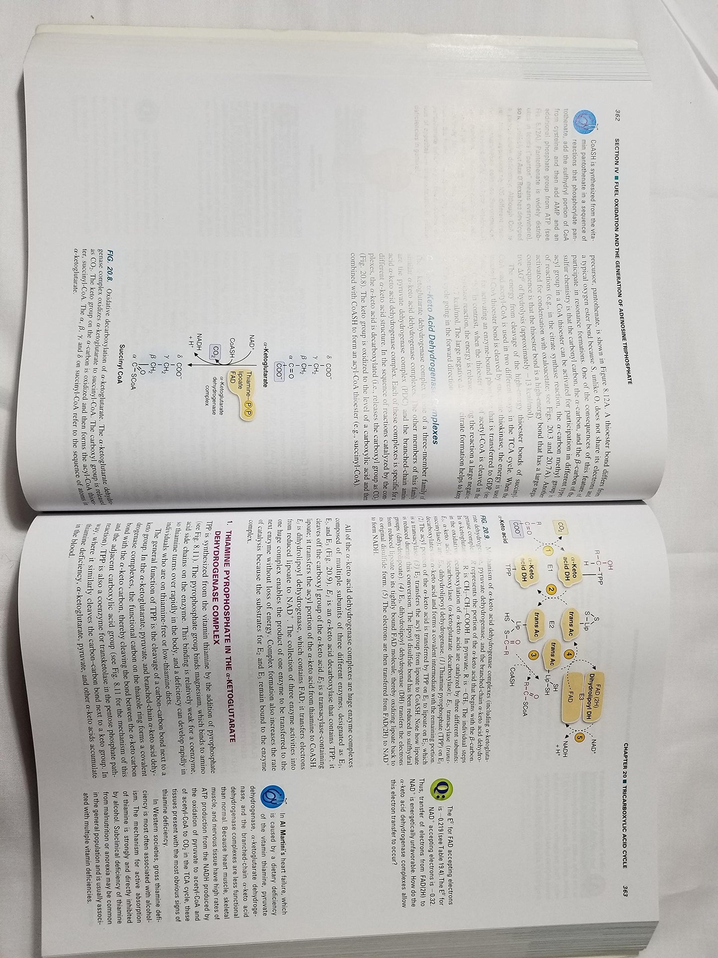 Marks' Basic Medical Biochemistry: A Clinical Approach (Lieberman, Marks's Basic Medical Biochemistry) Lieberman, Michael; Marks, Allan; Peet, Alisa, M.D. and Chansky, Matthew