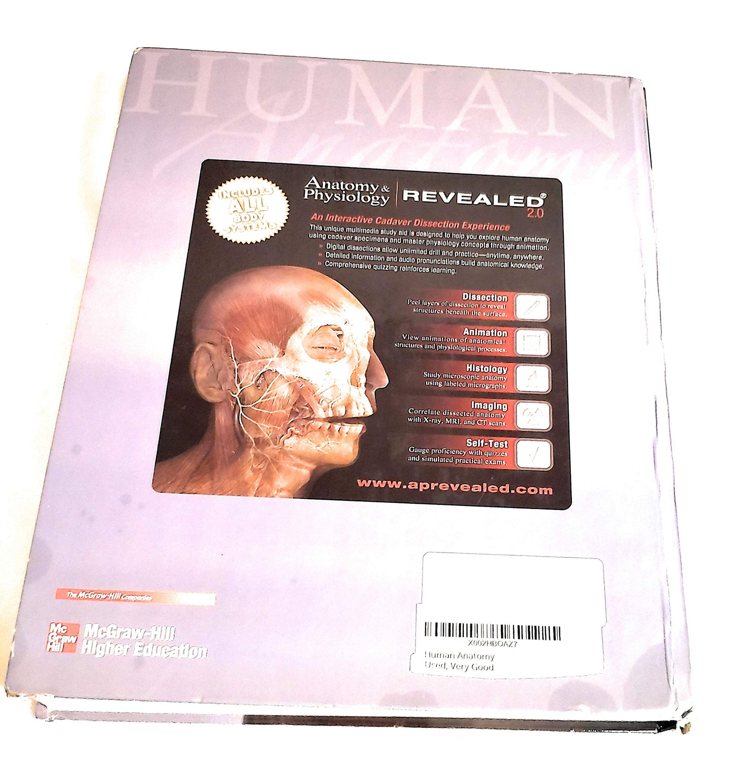 Human Anatomy